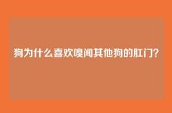 狗为什么喜欢嗅闻其他狗的肛门？