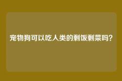 宠物狗可以吃人类的剩饭剩菜吗？