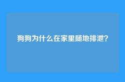 狗狗为什么在家里随地排泄？