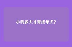 小狗多大才算成年犬？