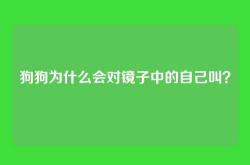 狗狗为什么会对镜子中的自己叫？