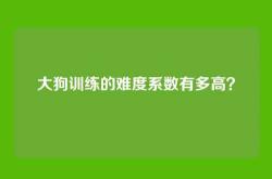 大狗训练的难度系数有多高？