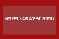 宠物狗可以吃哪些水果作为零食？