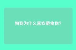 狗狗为什么喜欢藏食物？
