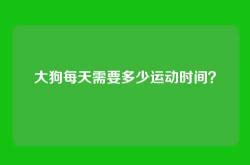 大狗每天需要多少运动时间？