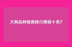 大狗品种智商排行榜前十名？