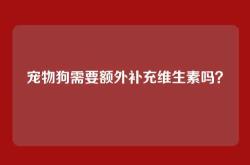宠物狗需要额外补充维生素吗？