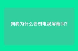 狗狗为什么会对电视屏幕叫？