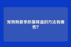宠物狗夏季防暑降温的方法有哪些？