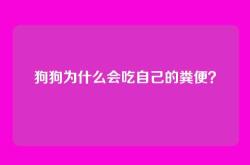 狗狗为什么会吃自己的粪便？