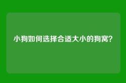 小狗如何选择合适大小的狗窝？
