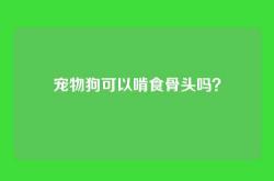 宠物狗可以啃食骨头吗？