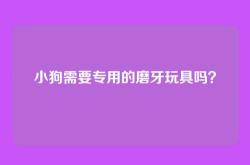 小狗需要专用的磨牙玩具吗？