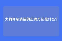 大狗耳朵清洁的正确方法是什么？