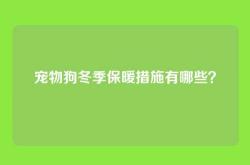 宠物狗冬季保暖措施有哪些？
