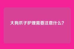 大狗爪子护理需要注意什么？