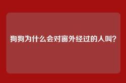 狗狗为什么会对窗外经过的人叫？