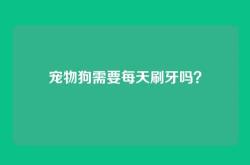 宠物狗需要每天刷牙吗？