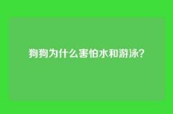 狗狗为什么害怕水和游泳？
