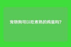 宠物狗可以吃煮熟的鸡蛋吗？