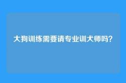 大狗训练需要请专业训犬师吗？