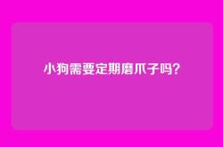 小狗需要定期磨爪子吗？