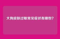 大狗皮肤过敏常见症状有哪些？