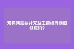 宠物狗需要补充益生菌维持肠道健康吗？