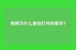狗狗为什么害怕打开的雨伞？