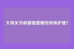 大狗关节保健需要哪些特殊护理？
