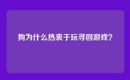 狗为什么热衷于玩寻回游戏？