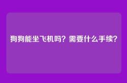 狗狗能坐飞机吗？需要什么手续？