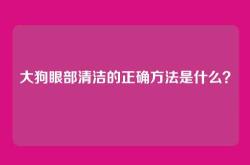 大狗眼部清洁的正确方法是什么？