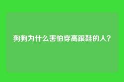 狗狗为什么害怕穿高跟鞋的人？