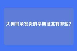 大狗耳朵发炎的早期征兆有哪些？