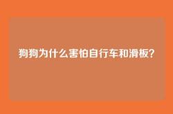 狗狗为什么害怕自行车和滑板？