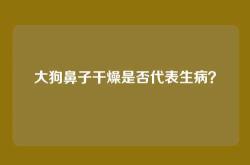大狗鼻子干燥是否代表生病？