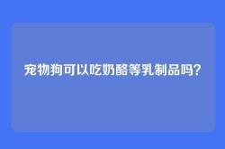 宠物狗可以吃奶酪等乳制品吗？