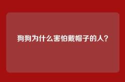 狗狗为什么害怕戴帽子的人？