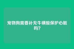 宠物狗需要补充牛磺酸保护心脏吗？
