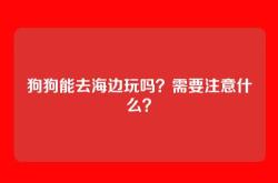 狗狗能去海边玩吗？需要注意什么？