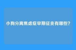 小狗分离焦虑症早期征兆有哪些？