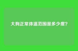 大狗正常体温范围是多少度？