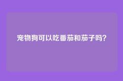 宠物狗可以吃番茄和茄子吗？
