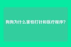 狗狗为什么害怕打针和医疗程序？