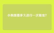 小狗需要多久进行一次驱虫？
