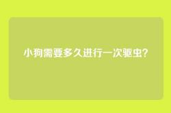 小狗需要多久进行一次驱虫？
