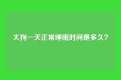 大狗一天正常睡眠时间是多久？