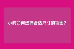 小狗如何选择合适尺寸的项圈？