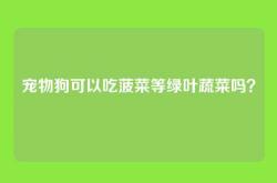 宠物狗可以吃菠菜等绿叶蔬菜吗？